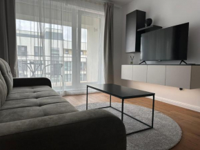 4FriendsCoresiBrasov Y Braşov